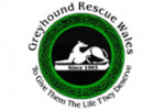Greyhound-Rescue-Wales